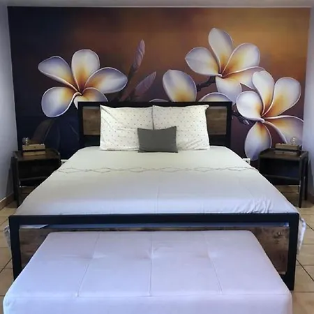 Maison M 3* Surin (Vienne)