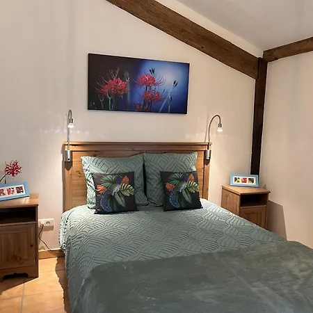 Bed & Breakfast Maison M Surin (Vienne)